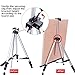 66 Inch Folding Aluminum Easel - Lightweight Tabletop Art Standing Easels for Adults&Kids Painting on Canvas,Board - Telescoping Floor Easel by Bianyo