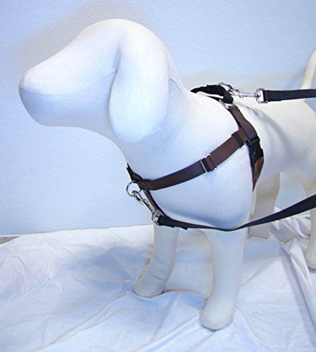 Freedom No-Pull Harness AND 4-Configuration Training Leash Package (1" Wide X-Large (30"-38"), Brown w/ Black Loop)
