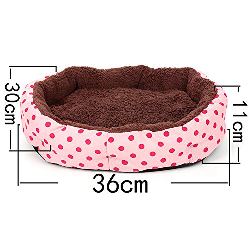 30 Best Selling Cat Beds Widest