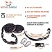 ONE DAY SALE!!! Hammock Straps For Tree By Nature Sunrise –XL Heavy Duty Easy To Set Adjustable hanging straps- 3 Bonuses!!! Carabiners & Survival Gadget & E-BOOK