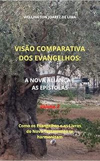 Livro VISÃO COMPARATIVA DOS EVANGELHOS - II -: Volume 2: A NOVA ALIANÇA E AS EPÍSTOLAS