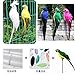 LWINGFLYER Green Artificial Parrot Life Size Foam Feather Parrot Macaw Birds for Decoration Costume Shoulder Ornament Modern Home Garden Party Decor (13.8inch/35cm)