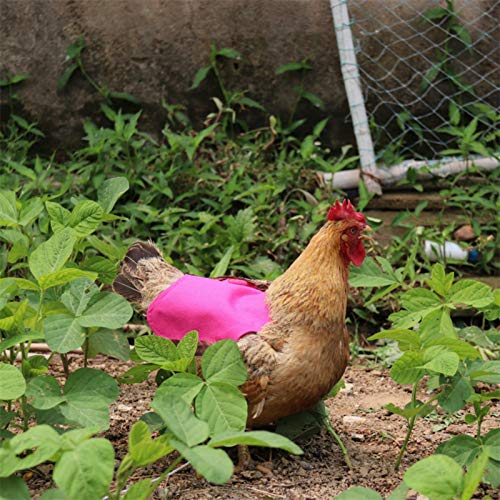 Sommer's Laden Haustier Schürze Chicken Saddle Hen Schürze Hühnersattel Geflügel Henne Sattel Schürze Federschutzhalter… – Bild 7