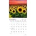 Sunflowers 2017 Wall Calendar 12