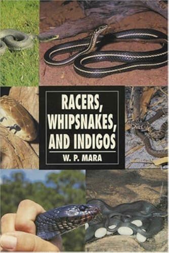 Download Racers, Whipsnakes and Indigos PDF