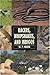 Racers, Whipsnakes and Indigos (Herpetology Series) by