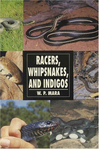 Racers, Whipsnakes and Indigos (Herpetology Series) by W. P. Mara