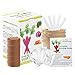 Spring Best Gift Vegetable Garden Seed Growing Starter Kit Indoor for Kids Easily Grow 5 Fresh Veggie Garden Kit Tomatoes,Purple Carrot,Rainbow Chard,Brussel Sprout Shipping from US
