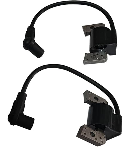 Amazon.com: Kawasaki OEM 21121-0729 & 21121-0730 Ignition