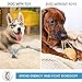 Pets&Goods Heavy Duty Rope Toy for Active Chewers, Washable 100% Cotton Dog Chew Toys - Tug of War, Pack of 9 Puppy Teething Toys (Small Breed, 9, Count)