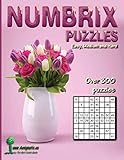 Numbrix Puzzles: Easy, Medium and Hard by Aenigmatis