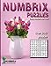 Numbrix Puzzles: Easy, Medium and Hard by Aenigmatis