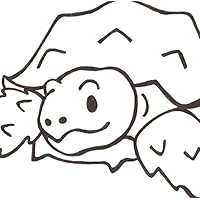 PaintaDoodle 12 x 12 Spur Thighed Tortoise Painting Kit