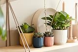 elho Vibes Fold Round Mini 9-100% Recyclable Flower Pot Ø9.3 x H8.8 cm Blue view 7