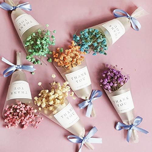 Sue Supply DIY Mini Natural Dried Flower Starry Natural Dry Flower Wedding Home Decoration Craft Sky Stars Flower Photo Props