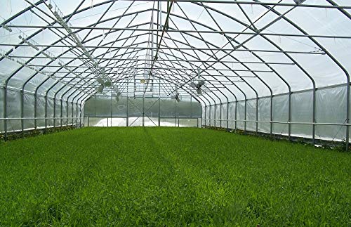 TIRUSS Greenhouse Light Deprivation and Ventilation Controller Timer Control 1-4 Sets Greenhouse roll up Motor