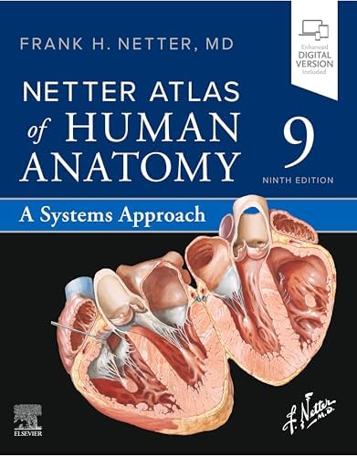 Amazon.com: Atlas of Human Anatomy E-Book: Digital eBook (Netter