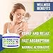 Hemp Cream for Pain Relief - 60,000 MG American Hemp Extract - Natural Treatment with Emu Oil, Arnica, MSM & Menthol for Muscle, Joint, Sciatica & Back Pain - Made in USA - Omega 3-6-9 Infused