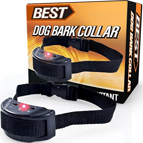 shock collar voltage