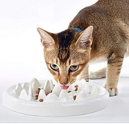 Slow Interactive Food Feeder Cat Bowl Puzzle Bowl Fun Interactive