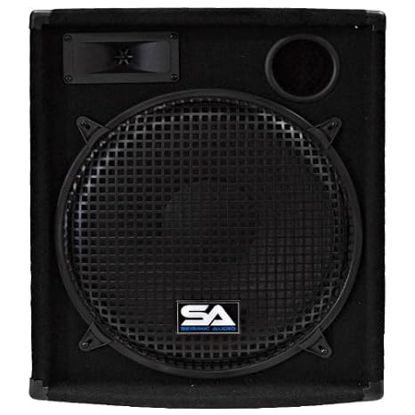 ampro speaker 15 inch