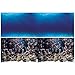 Vepotek Aquarium Background Deep Seabed/Coral Rock Double sides (Deep Seabed/Coral Rock, 48WX24H)