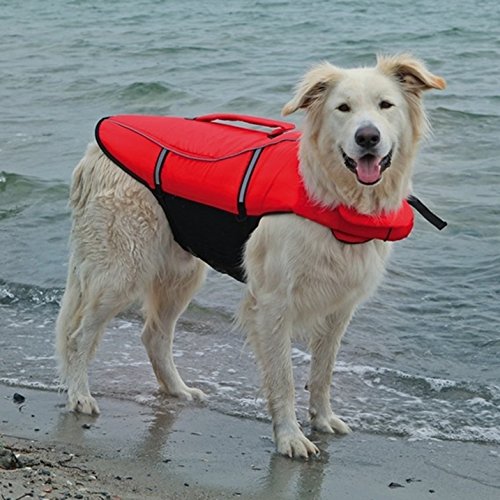 Red MEDIUM Swim LIFE VEST For Pet Dog Floating Safety Swim Activity