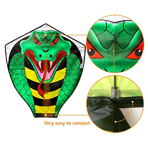 3 Large+Cobra+Adults+Super+Dominate