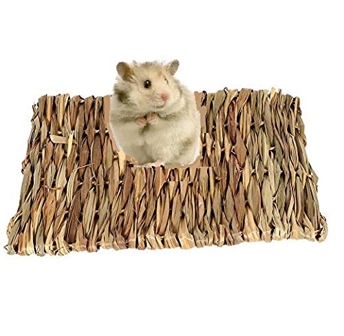 HEEPDD Handwoven Seagrass Mat for Hamster Guinea Pig Rabbit Chinchillas, Natural Chew Toy Bedding Nest, Small Animals, 28x20x1cm
