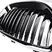 Anzio 1 Pair Glossy Black Euro Direct Replacement Front Kidney Grille Grill for BMW 2003-2010 E60 5-Series