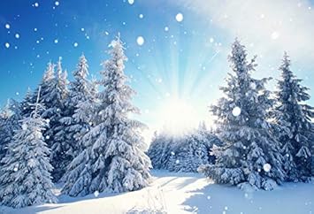 Amazon Com Baocicco 12x10ft Vinyl Winter Landscape Backdrop White Snowscape Photography Background Snowdrifts Pine Merry Christmas Outdoor Winter Holiday Party Children Baby Adults Portraits Photo Studio Camera Photo