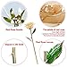 DEFAITH Real Rose 24K Gold Dipped, Forever Gifts for Her Valentine's Day Anniversary Wedding and Proposal - Ivory with Stand