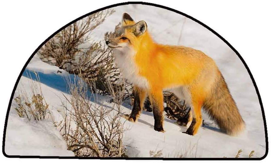 Non-Slip Bath Hotel Mats Fox,Red Fox in Nature Snowy Mountain Cold Winter Scenery Wildlife Carnivore Image,Marigold Brown White,W47 x L31 Half Round Rugs for Sale