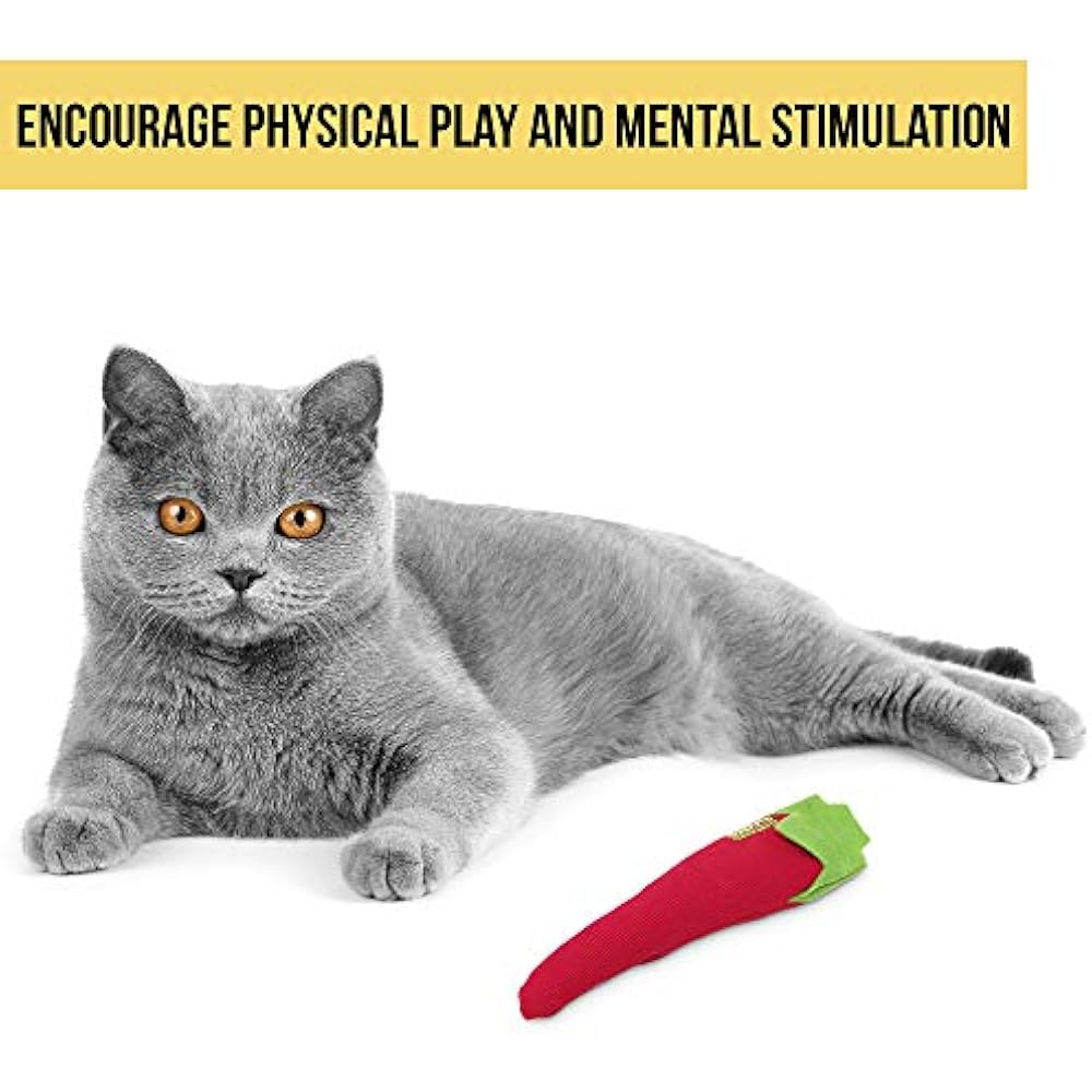 100Percent Premium North American Grown Cosmic Catnip Cat Toy OurPets