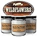 Scented Candles - Wildflowers - Decorative Aromatherapy - Handmade in The USA with Only The Best Fragrance Oils - 3 x 4-Ounce Soy Candles