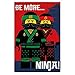 LEGO Ninjago Movie Ninja Fleece Blanket