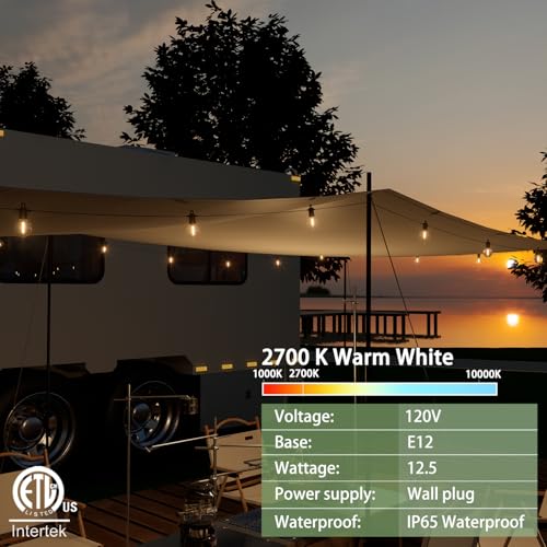 Outdoor String Lights 30M,Led Patio Globe Lights with 27pcs Plastic Bulbs,Waterproof,Shatterproof,G40 Outdoor String Lights,34 Connectable for Backyard, Bistro, Porch, Deck, Balcony,Tent