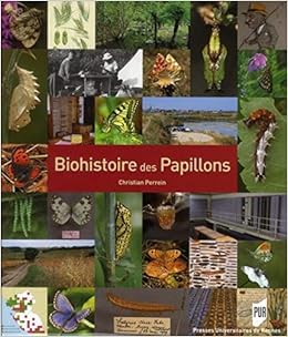 Biohistoire Des Papillons Diversite Et Conservation Des Lepidopteres Rhopaloceres En Loire Atlantique Et En Vendee Amazon Fr Perrein Christian Guilaine Jean Luquet Gerard Christian Livres