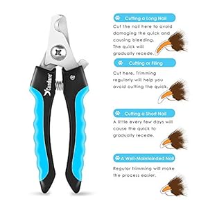 Candure Tagliaunghie Cane e Gatto con Guardia per Protezione Cani - Acciaio Inossidabile Tagliaunghie Gatto…