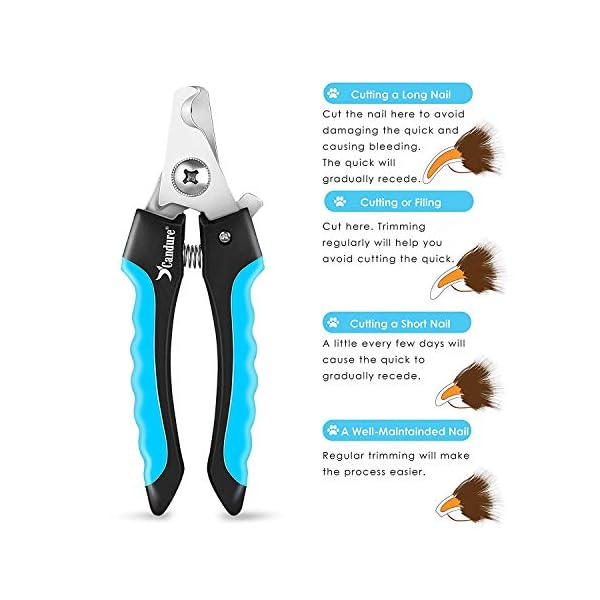 Candure Tagliaunghie Cane e Gatto con Guardia per Protezione Cani - Acciaio Inossidabile Tagliaunghie Gatto…