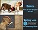 Waterproof Raised Edge BPA Free Silicone Pet Feeding Mat, 23x15 Dishwasher Safe Food Mat Contains Spills & Protects Floors, Placemats for Cats and Dogs Water Bowl, Pets Accessories Gray