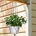 EBOOT 4 Pieces Plant Hanger Flower Pot Plant Holder with Key Ring for Indoor Outdoor Decorations, 2 Pieces 41.3 Inches and 2 Pieces 35 Inches, 4 Legs