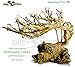 Bonsai Driftwood Aquarium Tree (5 Inch Height) Natural, Handcrafted Fish Tank Decoration | Helps Balance Water pH Levels, Stabilizes Environments | Easy to Installthumb 4