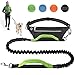 Hands Free Dog Leash for Running Walking Jogging Training Hiking, Retractable Bungee Dog Running Waist Leash for Medium to Large Dogs, Adjustable Waist Belt with Pack, Reflective Stitches, Dual Handle