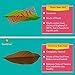 SunGrow Betta Bed Kit, 4 to 6-inches, Comfy Hammock, Rest Area for Fish, Improves Health by Simulating Betta's Native Habitat, 6 Beds + 2 Suction Cups Included