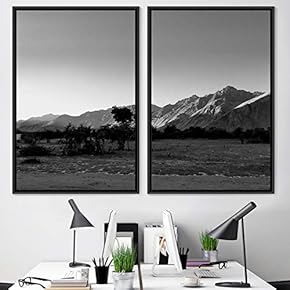 signwin 2 Piece Framed Canvas Wall Art Black...
