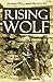 Rising Wolf, the White Blackfoot:  Hugh Monroe's Story of His First Year on the Plains (1919)