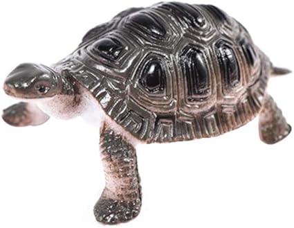 Amazon Co Jp Simplelife 12ピース セット亀フィギュアモデルのおもちゃかわいい漫画動物亀教育玩具子供キッズ男の子と女の子 ホビー