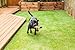 PZG 1-inch Artificial Grass Patch w/Drainage Holes & Rubber Backing | 4-Tone Realistic Synthetic Grass Mat | Heavy & Soft Pet Turf | Lead-Free Fake Grass for Dogs or Outdoor Décor