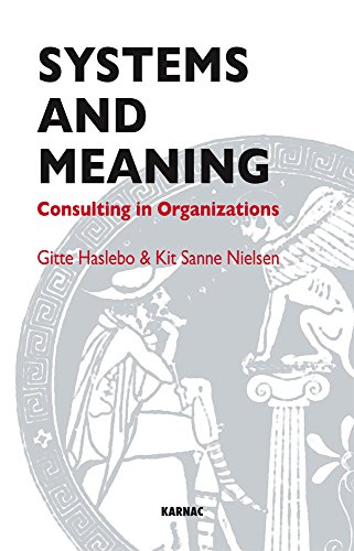 Systems and Meaning: Consulting in Organisations (Systematic Thinking and Practice Series)